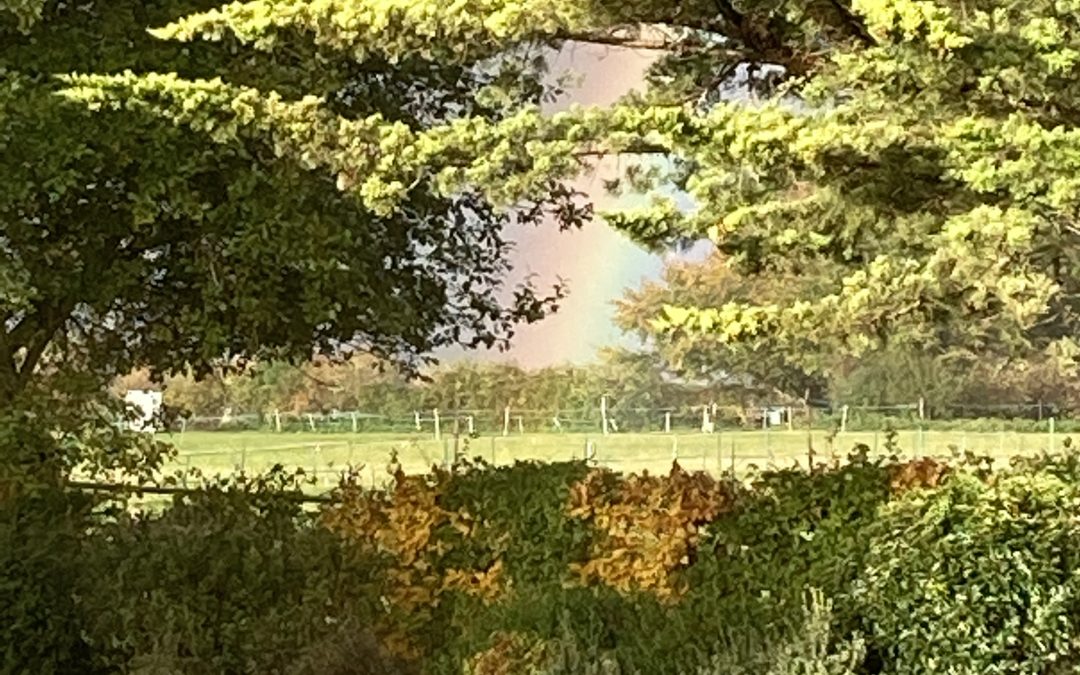 A rainbow at the end of 2nd Lockdown!