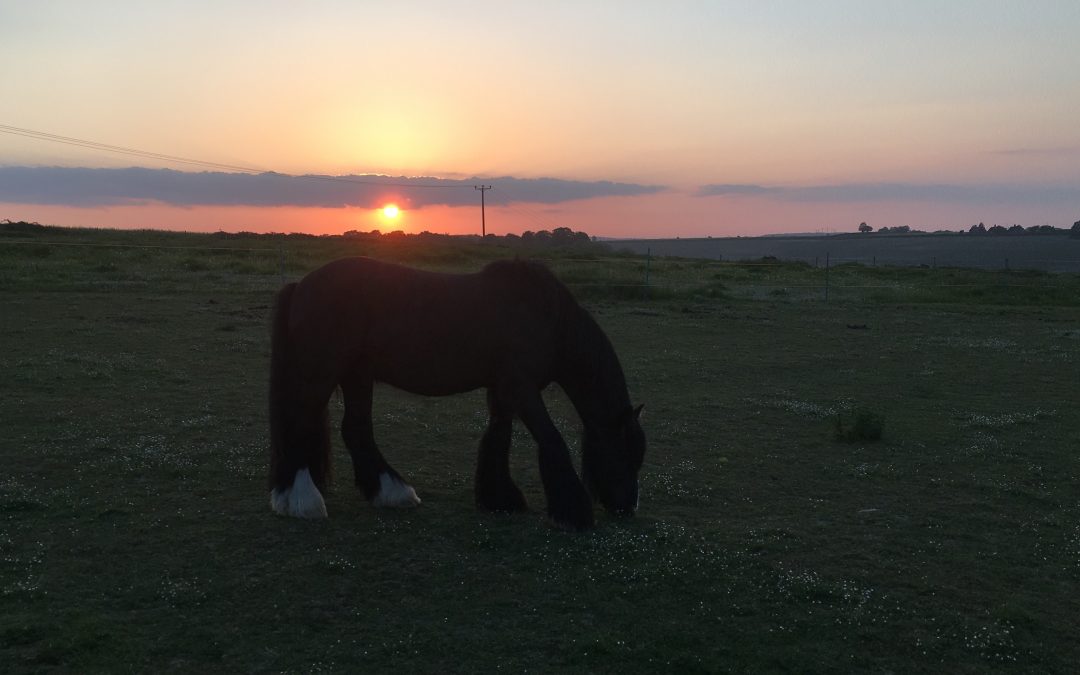 Sun setting over the Dorset countryside