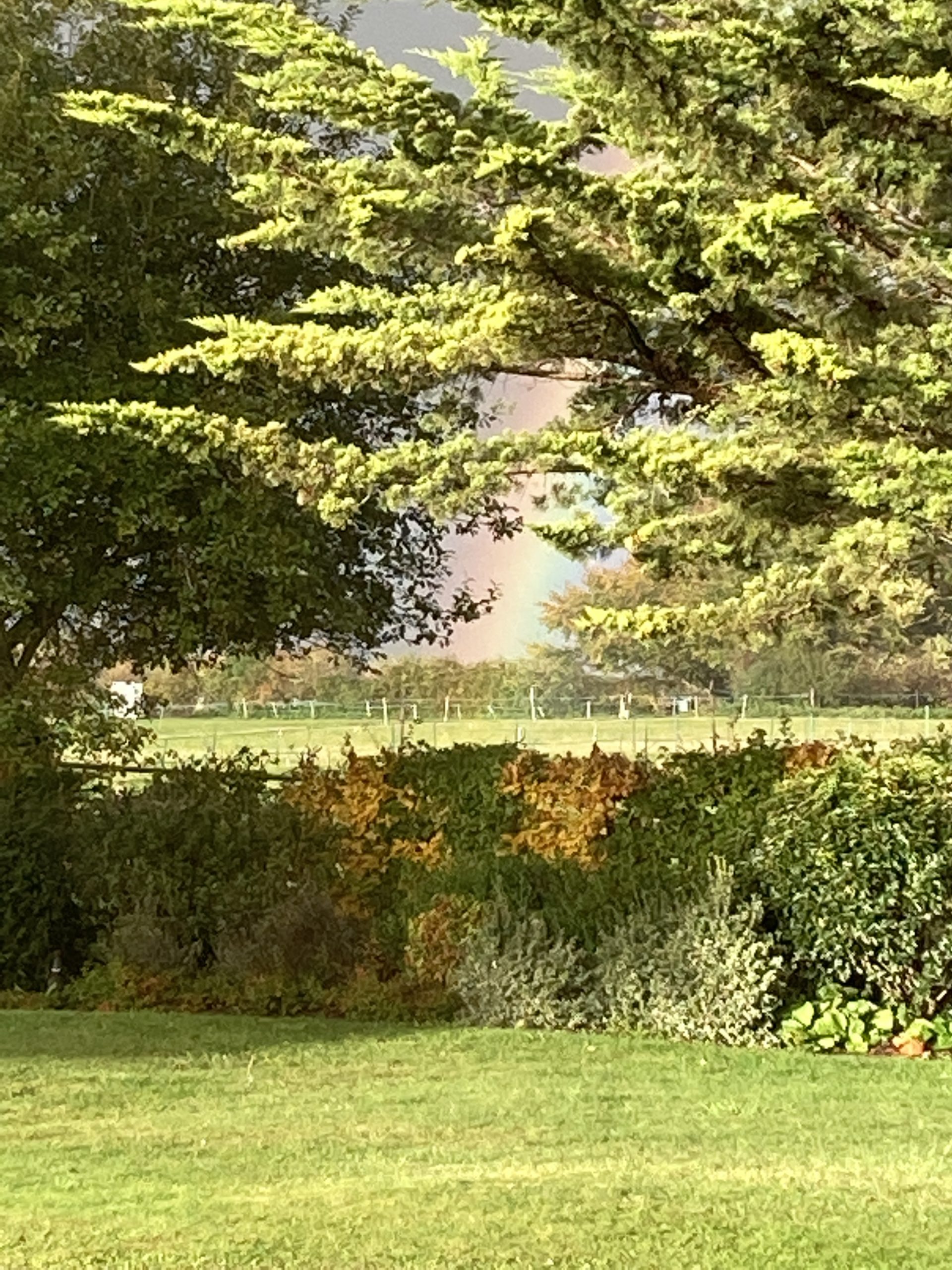 A Rainbow At The End Of 2nd Lockdown Bryanston Farm Bed And Breakfast